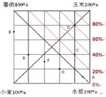 3.webp.jpg